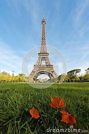 Sunny morning in Paris and Eiffel Tower with maple leaf at Paris Stock Photo