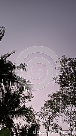 sunny morning in a small village without pollution Stock Photo