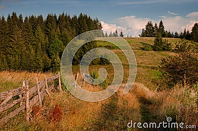 Sunny mountain meadow Stock Photo