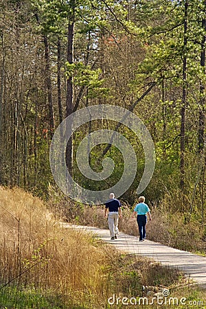 Sunny nature walk trail Stock Photo