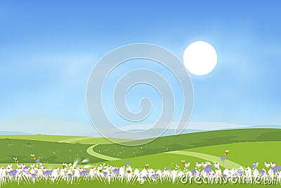 Sunny rural landscape of spring field with hills and blue sky and fluffy clous. Summer countryside with green mountains, meadows, Vector Illustration