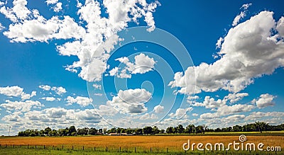 Sunny spring day in countryside. Agricultural land, blue sky with clouds Stock Photo