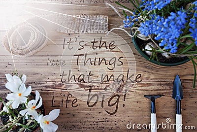 Sunny Spring Flowers, Quote Little Things Make Life Big Stock Photo