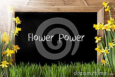 Sunny Spring Narcissus, Chalkboard, Text Flower Power Stock Photo