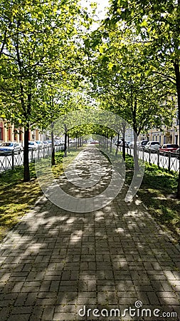 Sunny spring picturesque green street Editorial Stock Photo