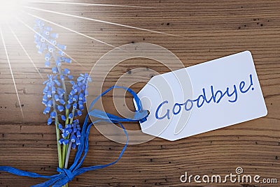 Sunny Srping Grape Hyacinth, Label, Goodbye Stock Photo