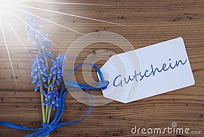 Sunny Srping Grape Hyacinth, Label, Gutschein Means Voucher Stock Photo