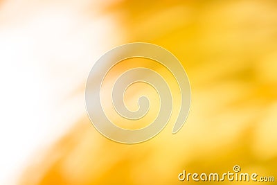 Sunny summer bright sweet blurred golden shining backdrop Stock Photo