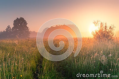 Sunny summer morning. Beautiful meadow with mist. Path in field Stock Photo