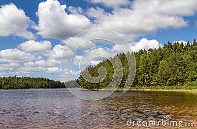A small forest lake in the south of Sweden Stock Photo