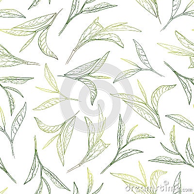 Sunny tea leafs Stock Photo