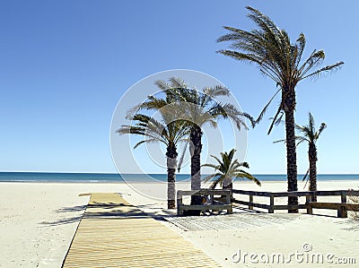 Sunny tropical beach Stock Photo