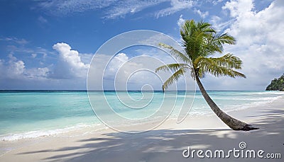 Sunny tropical Caribbean beach background Stock Photo