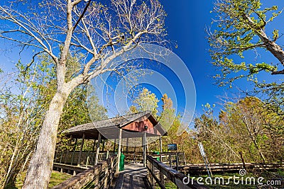 Sunny view of the landsacpe in Bayou Sauvage NWR Ridge Trail Stock Photo