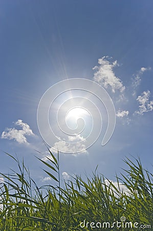 Sunny warm Summer sky Stock Photo