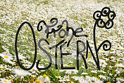 Sunny White Daisy Flower Meadow, Calligraphy Frohe Ostern Means Happy Easter Stock Photo