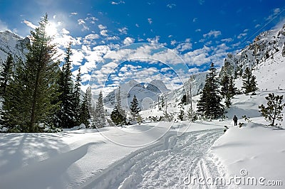 Sunny winter Stock Photo