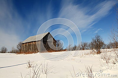 Sunny winter morning in a field Stock Photo