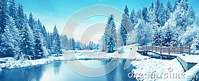 Winter forest in the Carpathians. Lake Vito Stock Photo