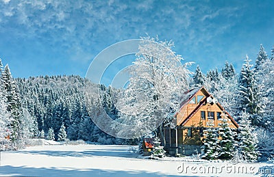 Winter forest in the Carpathians. Lake Vito Stock Photo