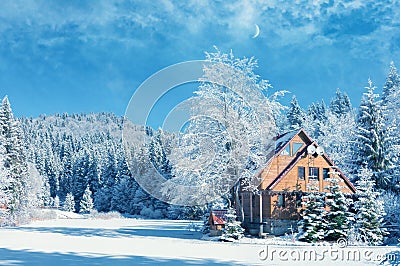 Winter forest in the Carpathians. Lake Vito Stock Photo