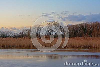 Sunny winter wetland landscape with reed and bare trees reflecting in the water with a clolorful evening sky Stock Photo