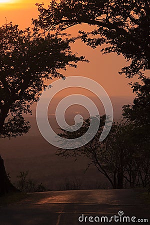 Sunrise in the african bush