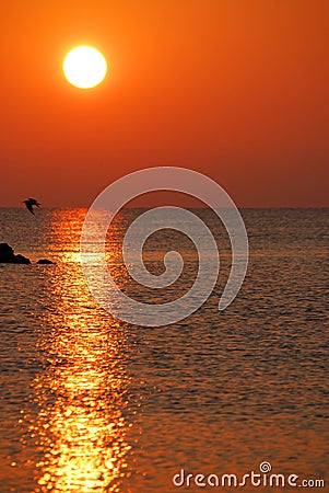 Sunrise on a beach Stock Photo