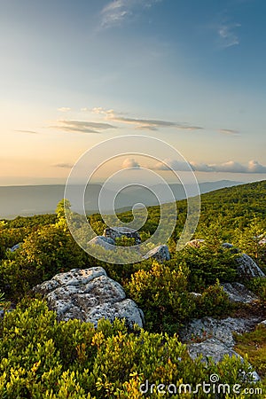 Sunrise at Bear Rocks Preserve, in Monongahela National Forest, West Virginia Stock Photo