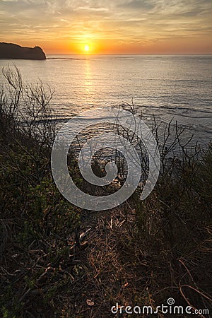sunrise from behind the bushes along the coast Stock Photo