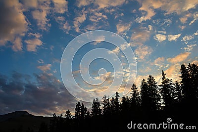 Sunrise behind the firs Stock Photo