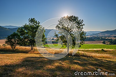 Sunrise behind the trees under Dolne Chvojno mountain Stock Photo