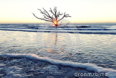 Sunrise at Botany Bay beach Stock Photo