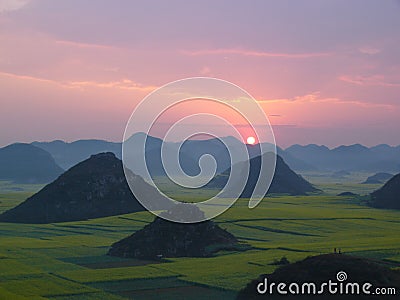 Sunrise on cole flowers ocean Stock Photo