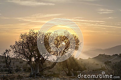 Sunrise in the mountains with sunrays Stock Photo