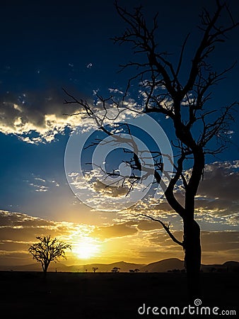 Sunrise with dead tree Stock Photo