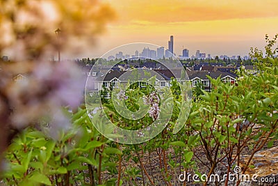 Sunrise Of Edmonton From A Scenic Neighbourhood Stock Photo