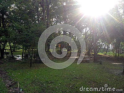 Sunrise in the garden. Width view. Stock Photo