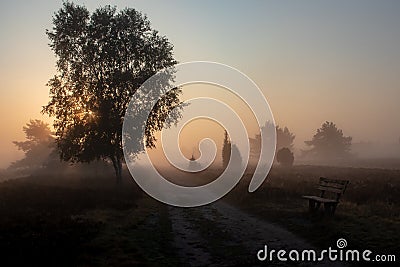 Sunrise at Heath Landscape Stock Photo