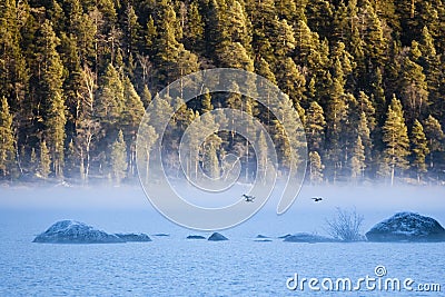 Sunrise at Inari lake, Finland Stock Photo