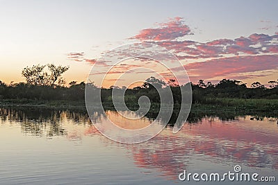 Sunrise in the jungle. Yacuma Natural Park, Bolivia Stock Photo