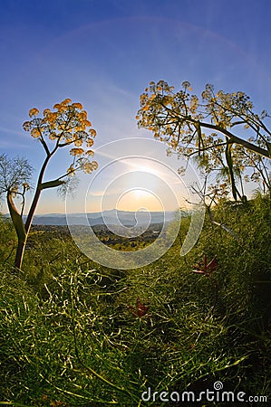 Sunrise landscape Stock Photo