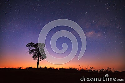 Before sunrise milkyway and silhouette of tree. Long exposure photograph Stock Photo