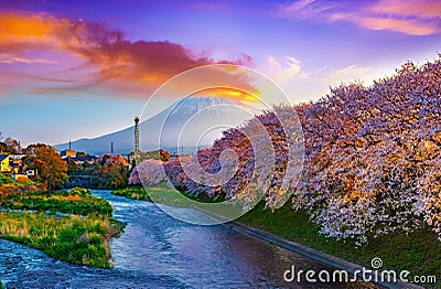 Sunrise at Mt. Fuji,spring and river with cherry blossoms in Japan Stock Photo