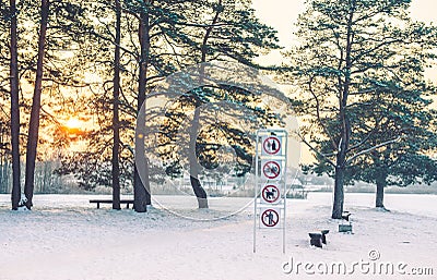 Sunrise near lake, pine park Stock Photo