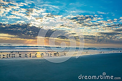 Ocean beach sunrise in Florida. Stock Photo