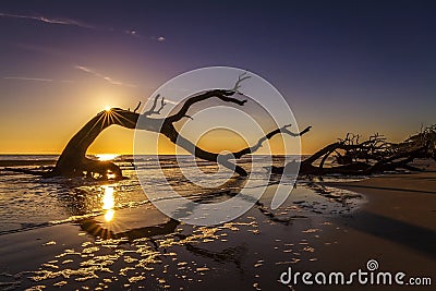 Sunrise Over Driftwood Beach - Jekyll Island Stock Photo