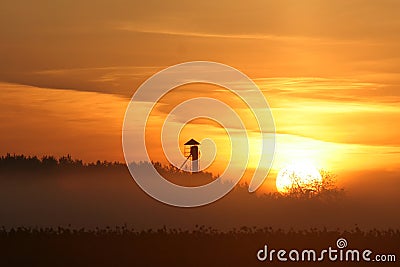 Sunrise over forest Stock Photo
