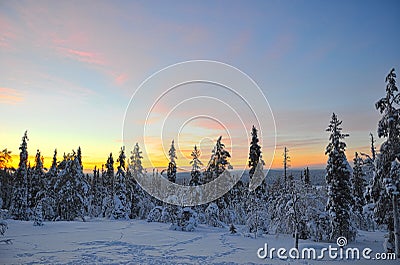 Sunrise over a forest in lapland, finland Stock Photo