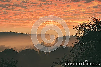 Sunrise over a misty forest. Dawn in fairy forest with dramatic glowing sky Stock Photo
